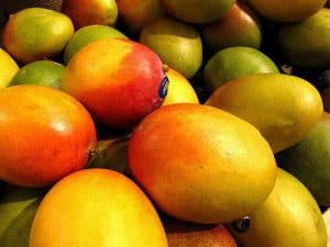 african mango水果