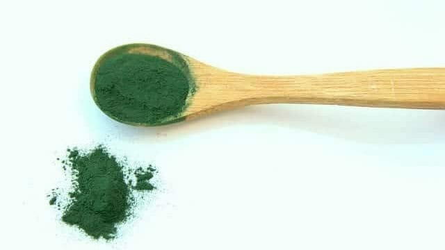 spirulina 1829080 640