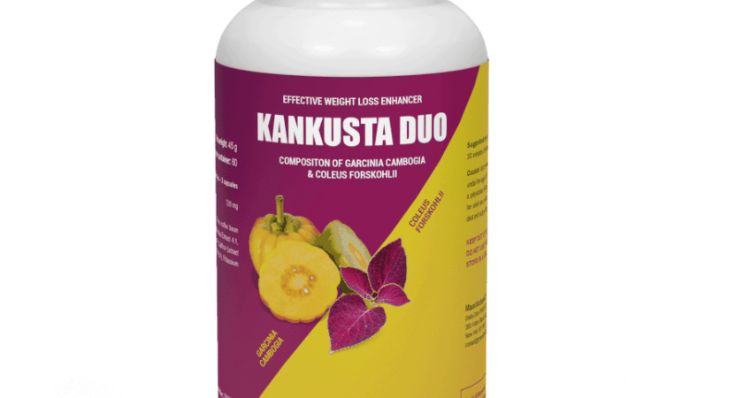 wizualizacja KANKUSTA DUO 60KAPS