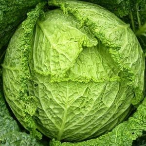 14739338870 7fae6f6f98 z 300x300 1