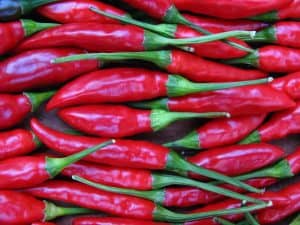 辣椒