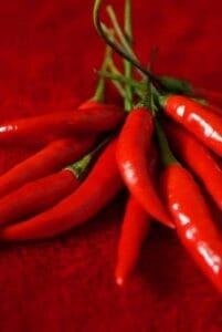 辣椒