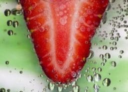 9160775665 a9a231a3dd z 300x216 1