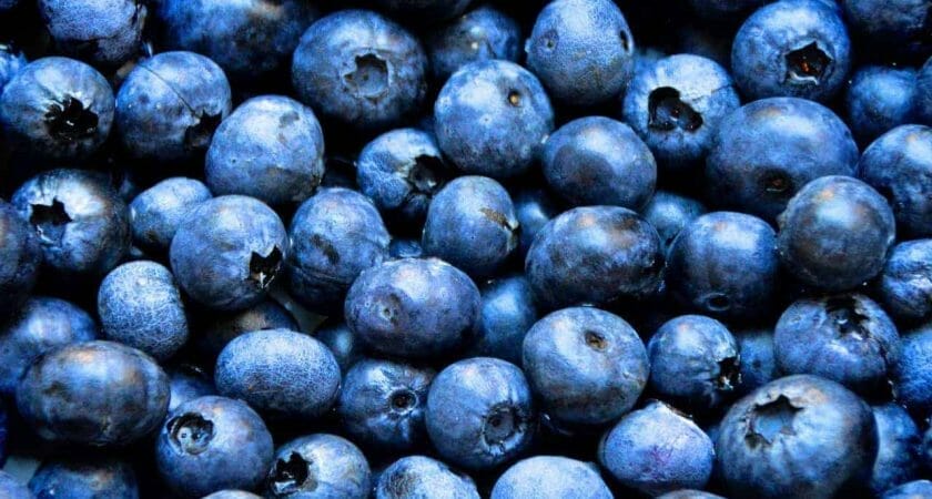 blueberries 1593965 1280