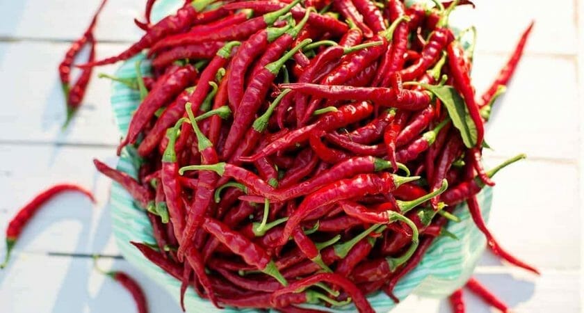 cayenne peppers 2779833 1280