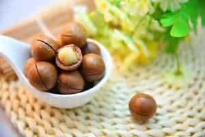 macadamia nuts 1098170 640 300x200 1