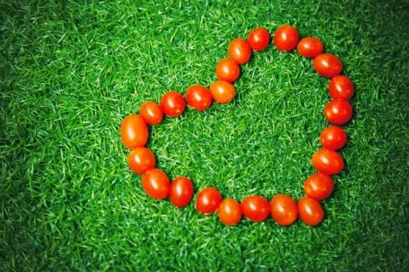 番茄在草地上排列成一个心形。