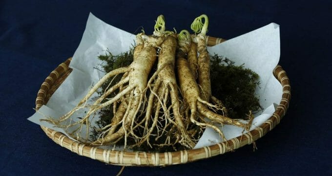 ginseng 3404958 1280