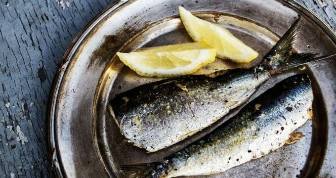 sardines 1489626 1280