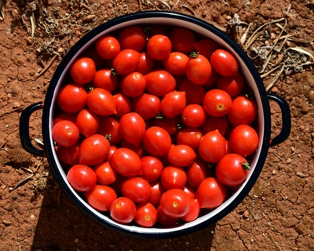 锅中的番茄